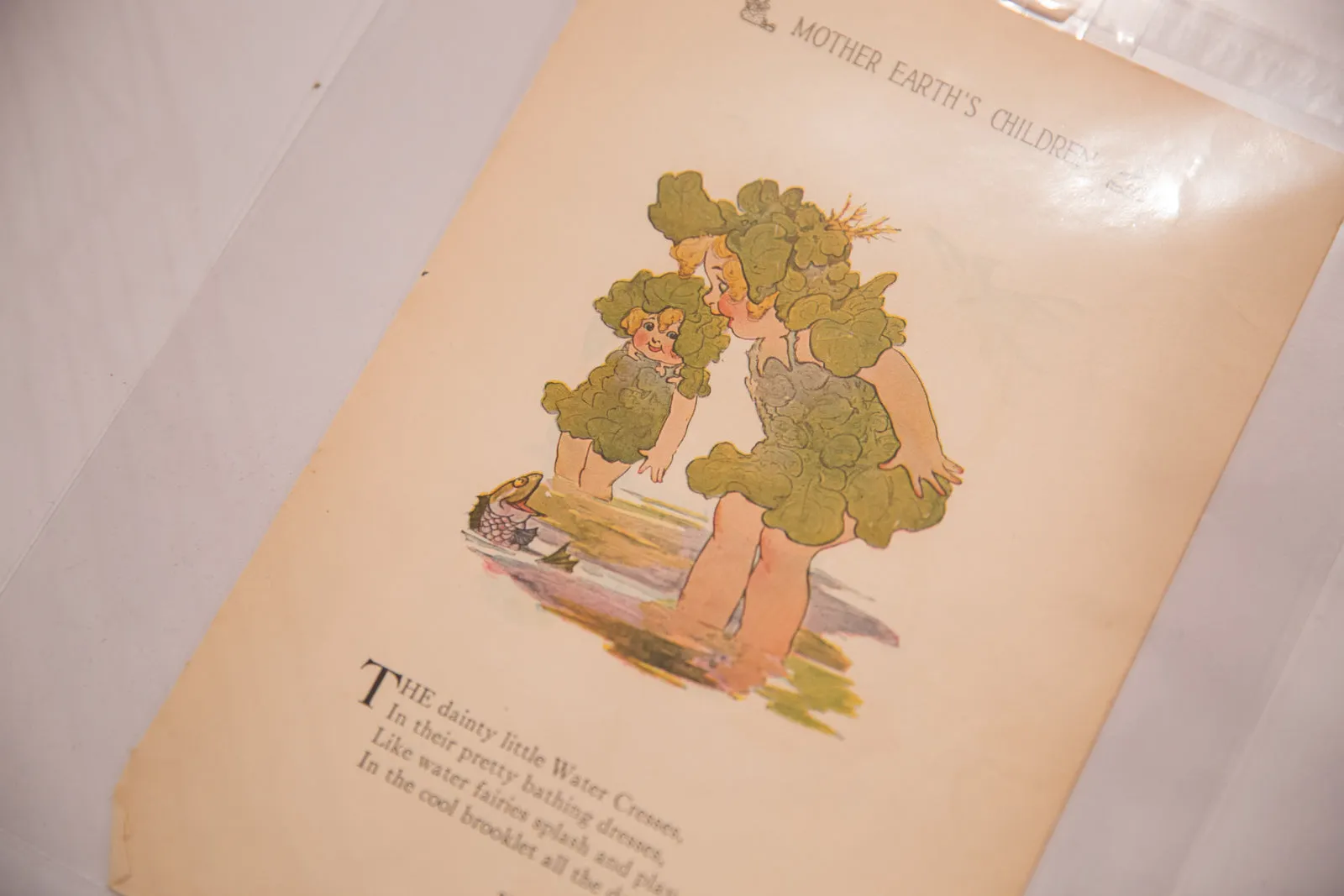 Antique M.T. Ross Mother Earth's Children Illustration