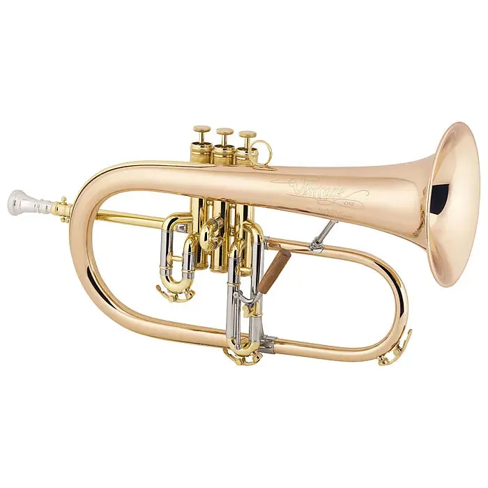 C.G. Conn 1FG Professional Flugelhorn Outfit