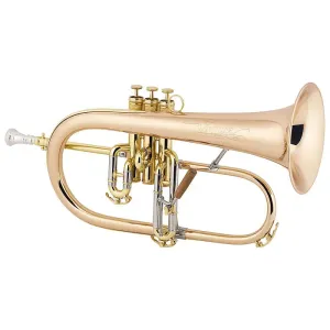 C.G. Conn 1FG Professional Flugelhorn Outfit