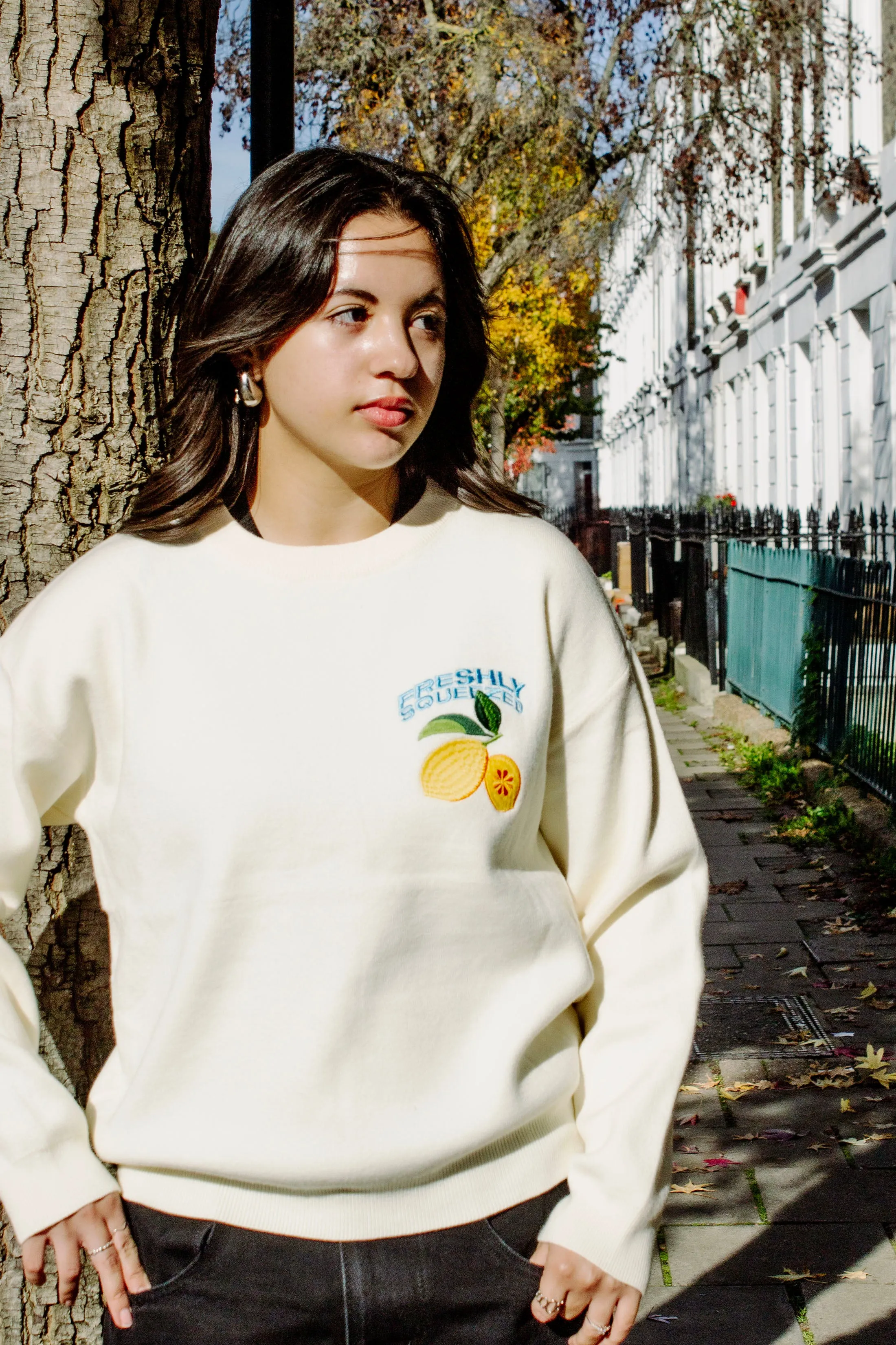 Cream Lemon Embroidered Knit Jumper