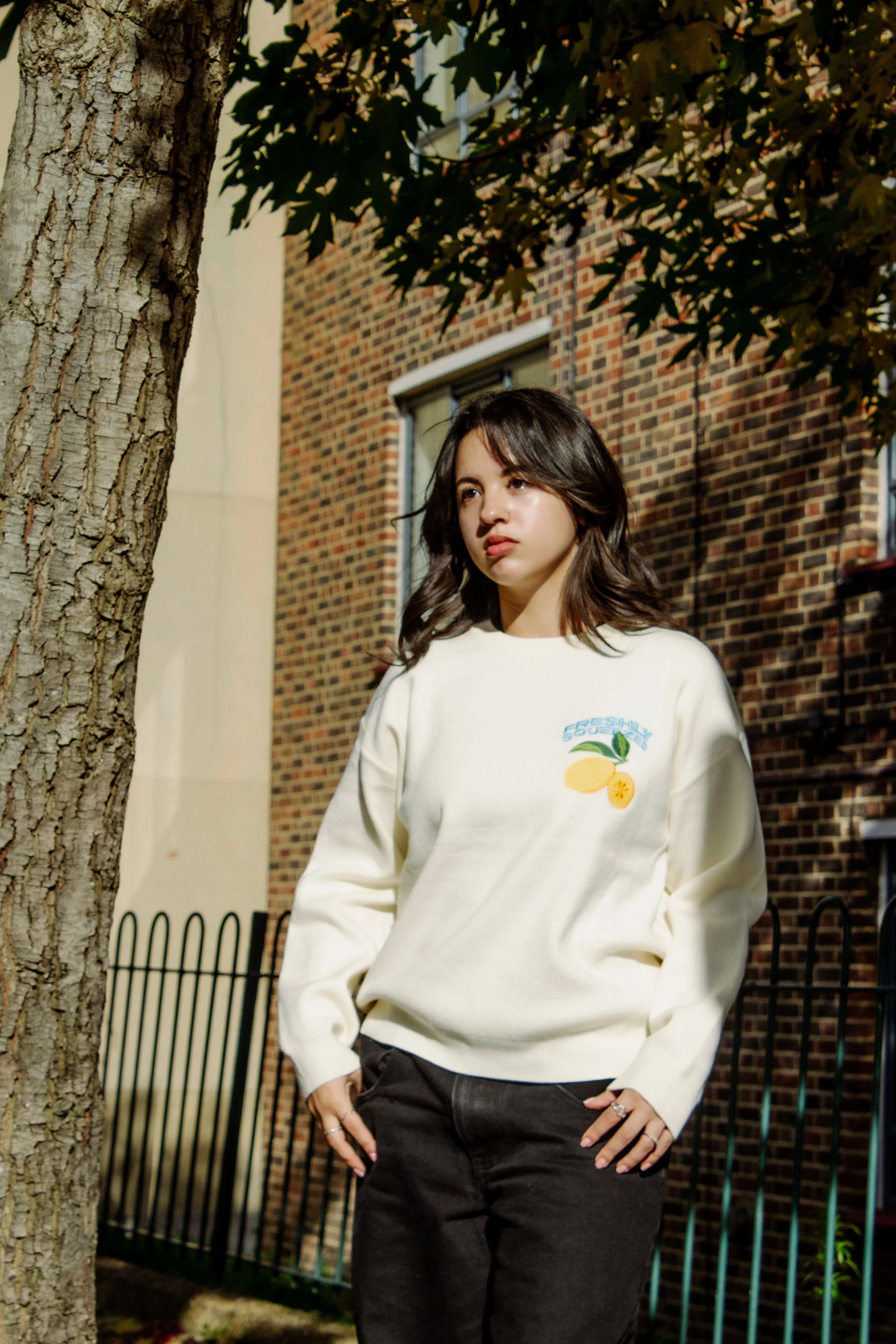 Cream Lemon Embroidered Knit Jumper