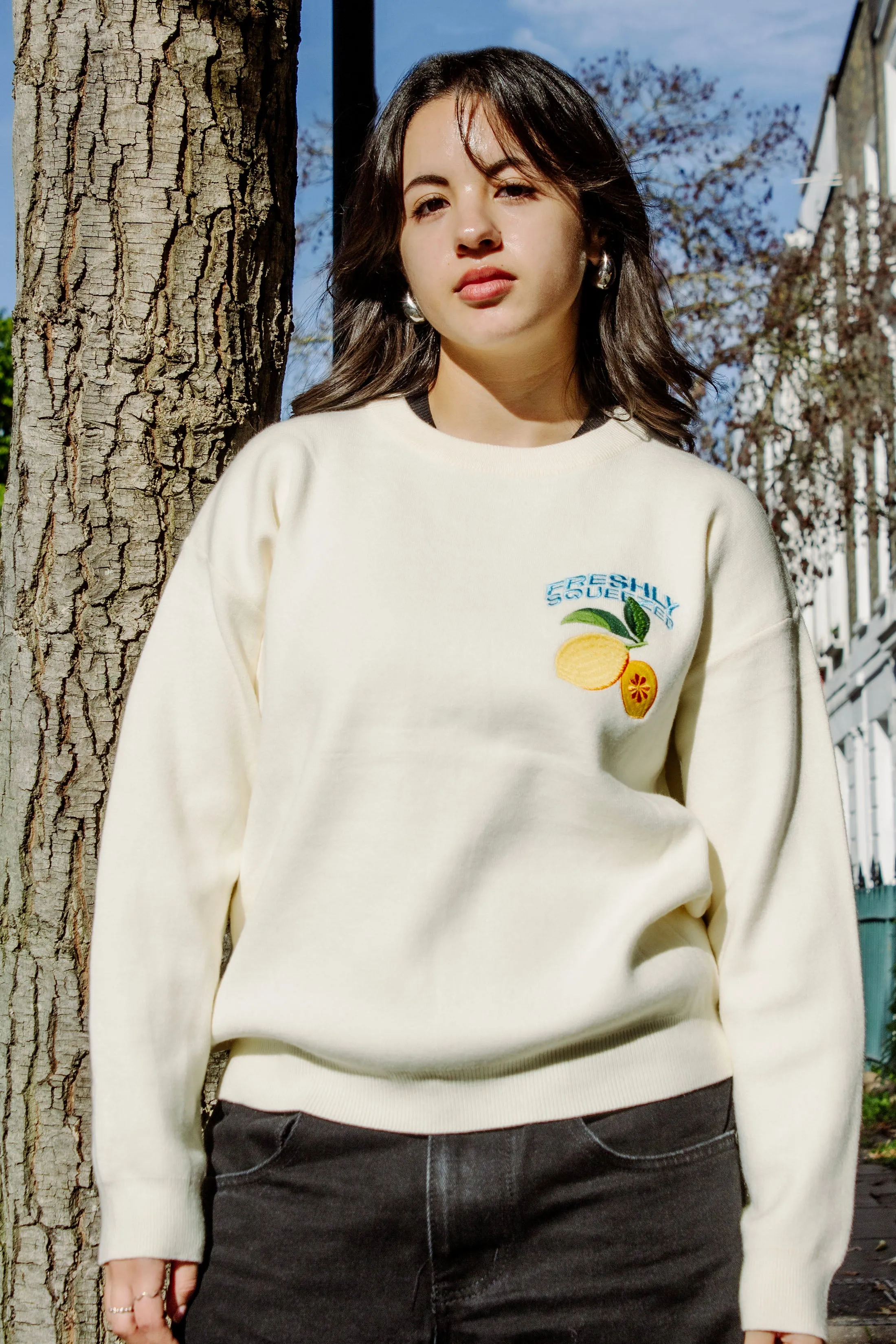 Cream Lemon Embroidered Knit Jumper