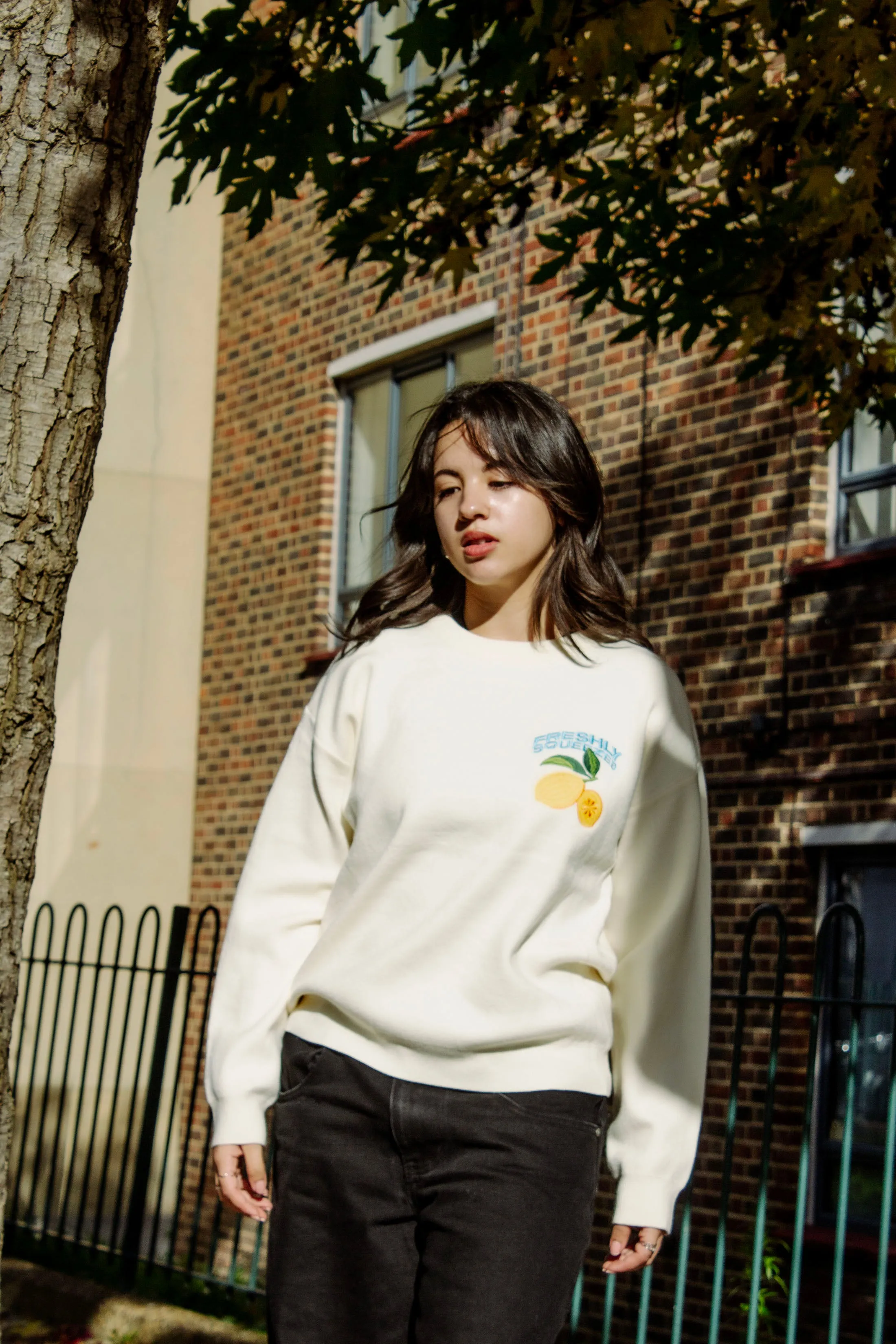 Cream Lemon Embroidered Knit Jumper