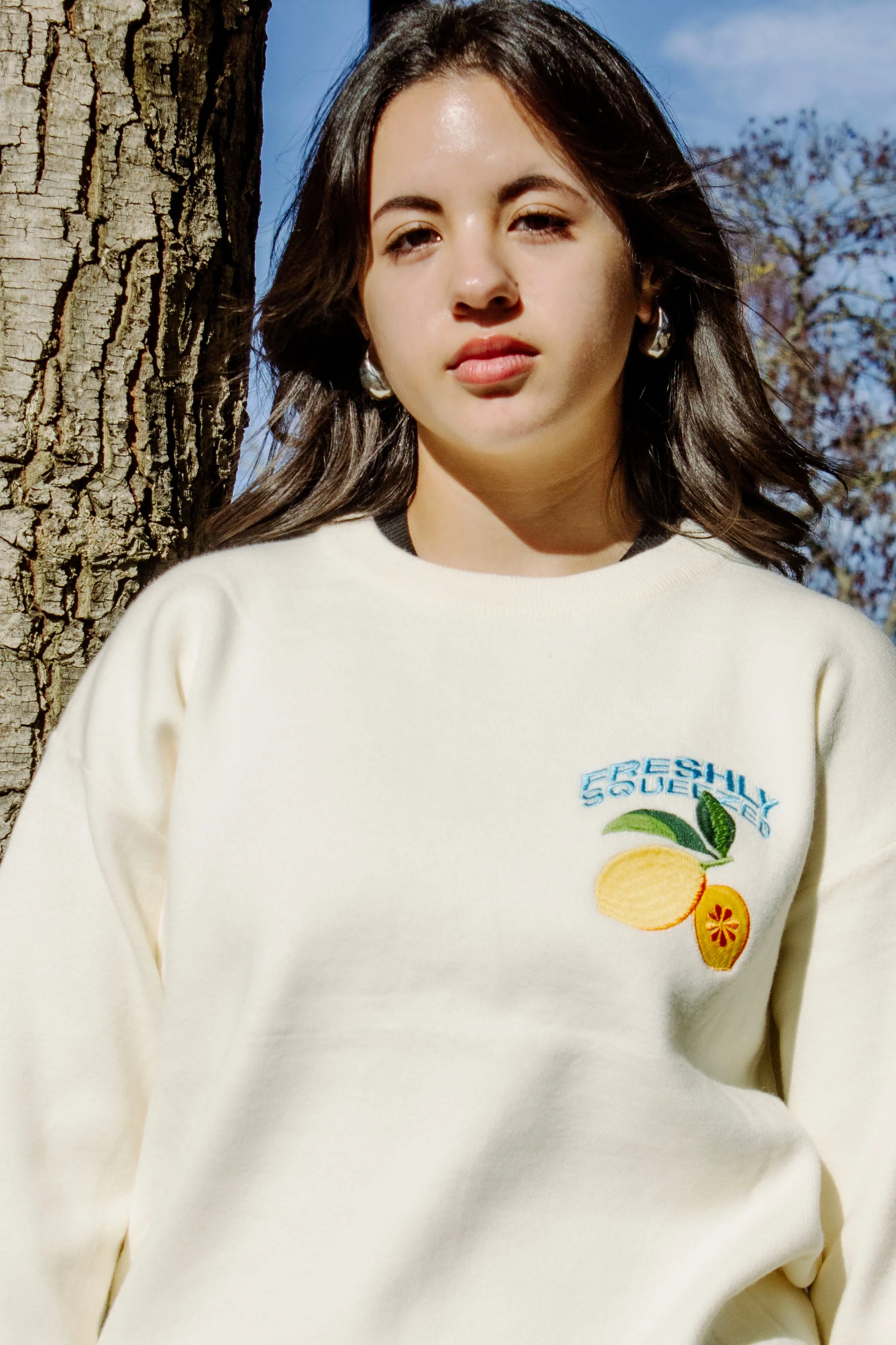 Cream Lemon Embroidered Knit Jumper