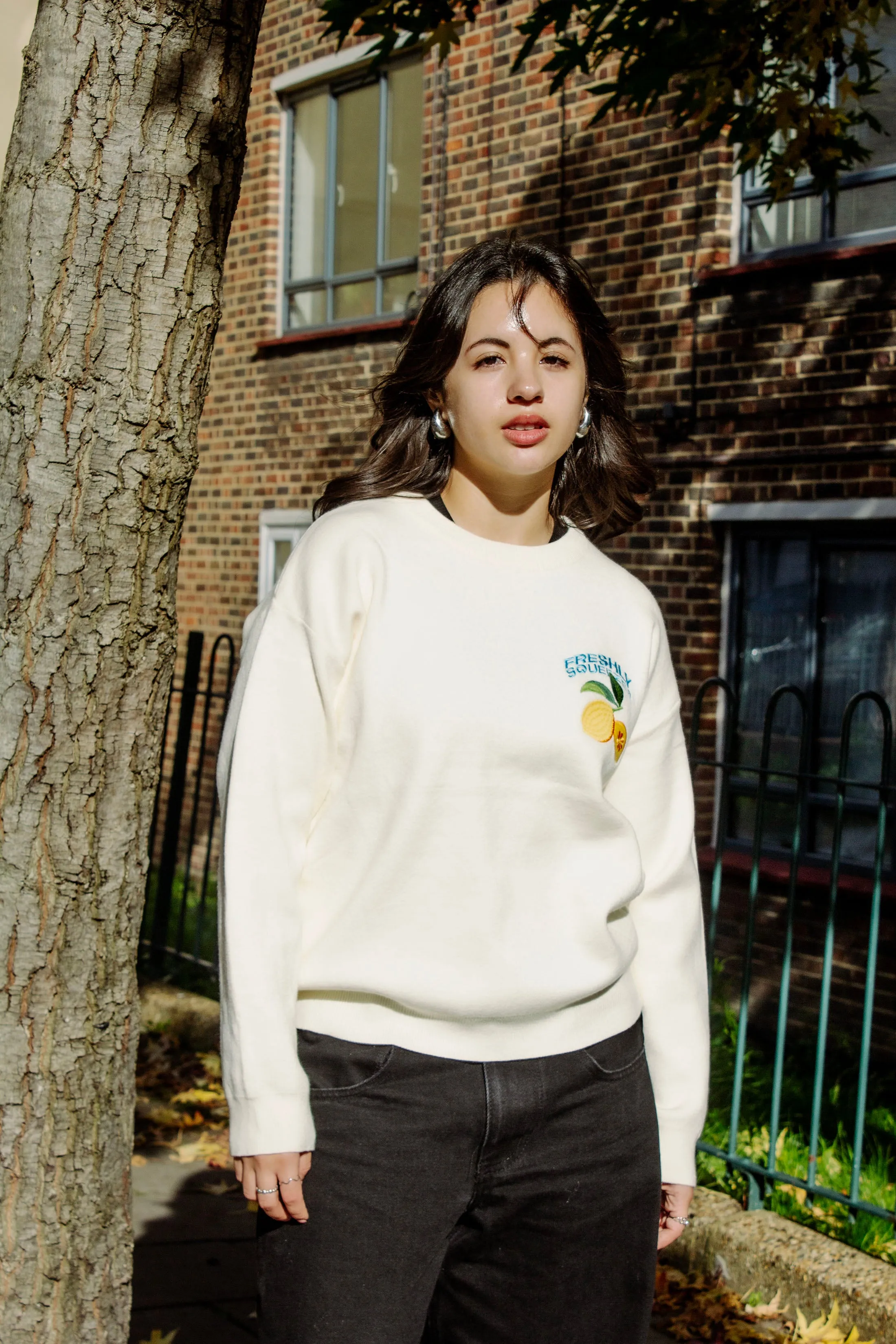 Cream Lemon Embroidered Knit Jumper