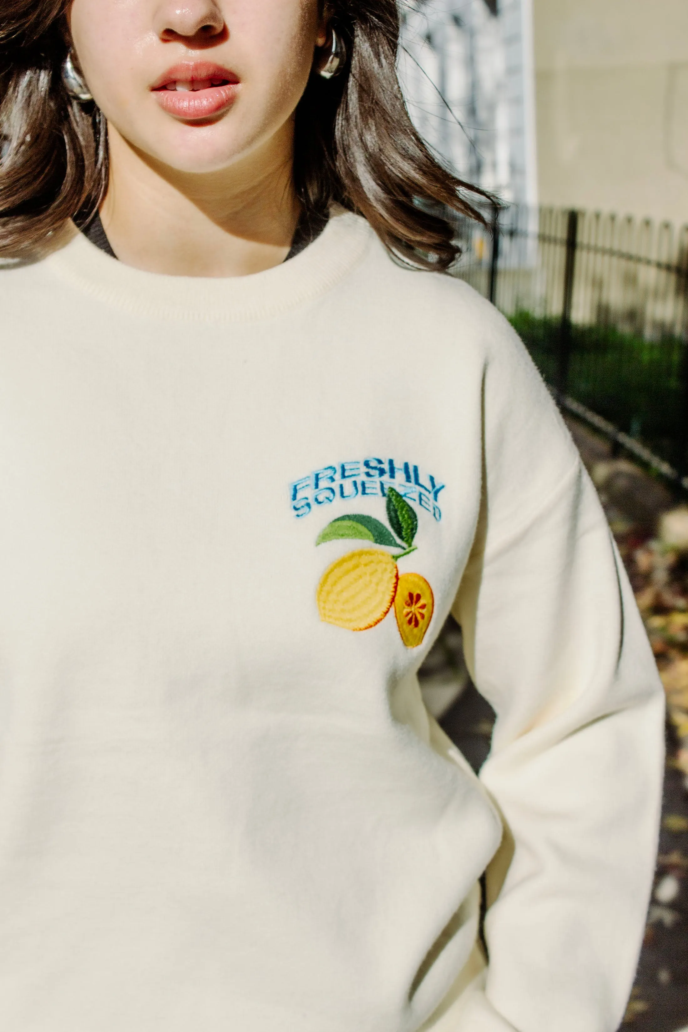 Cream Lemon Embroidered Knit Jumper
