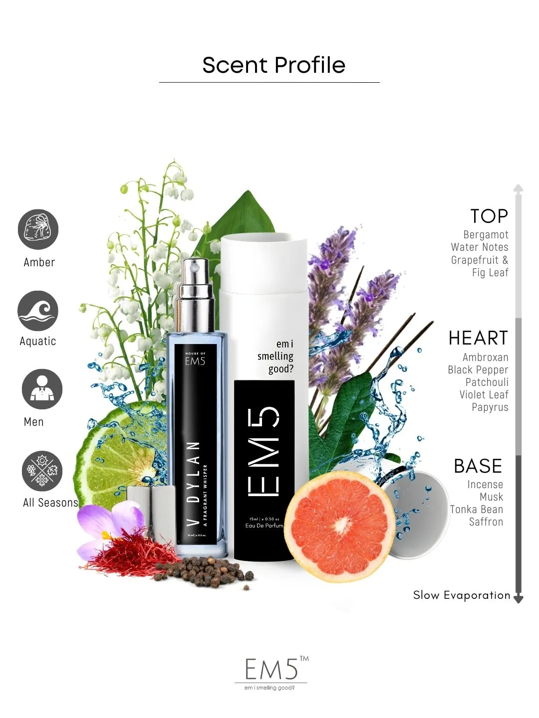 EM5™ V Dylan Perfume EDP Spray for Men | Aromatic Woody Fresh Fragrance Accords | Luxury Gift for Him | Variants Available: 50 ml Spray / 15 ml Spray