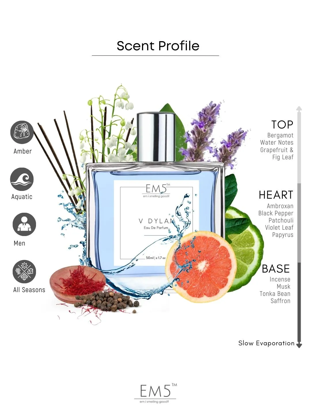 EM5™ V Dylan Perfume EDP Spray for Men | Aromatic Woody Fresh Fragrance Accords | Luxury Gift for Him | Variants Available: 50 ml Spray / 15 ml Spray