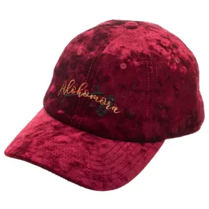 Harry Potter Dad Hat