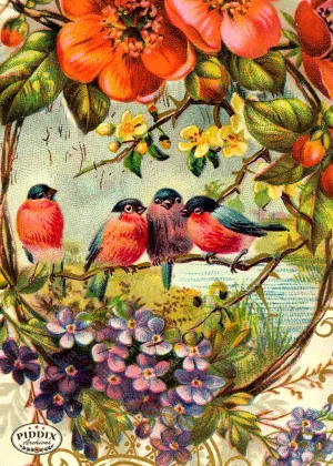 PDXC5111a, b & c -- Flora & Fauna