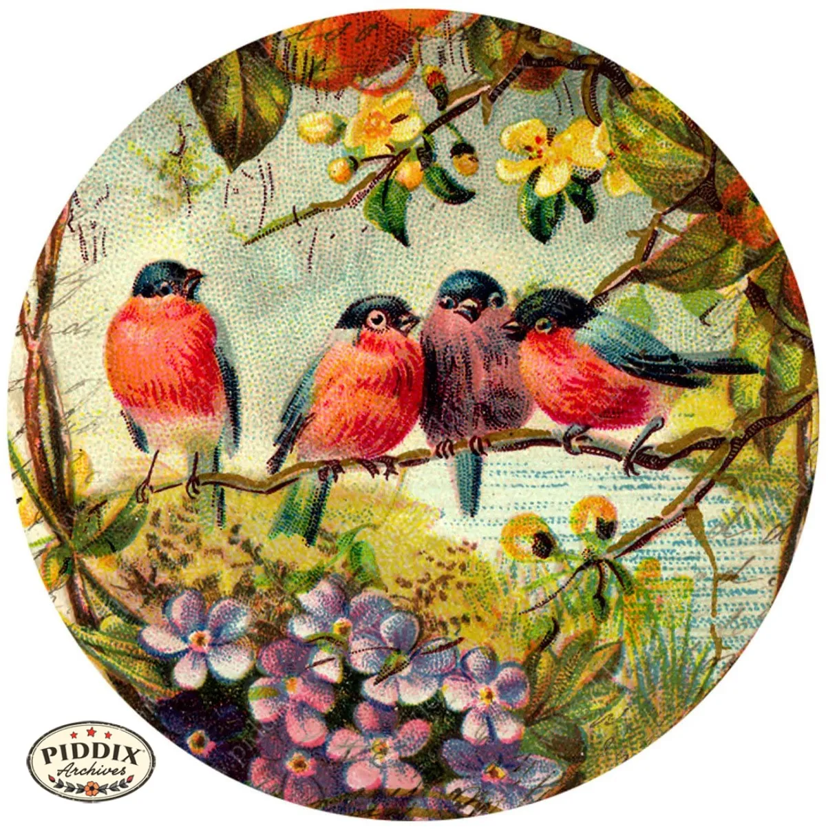 PDXC5111a, b & c -- Flora & Fauna