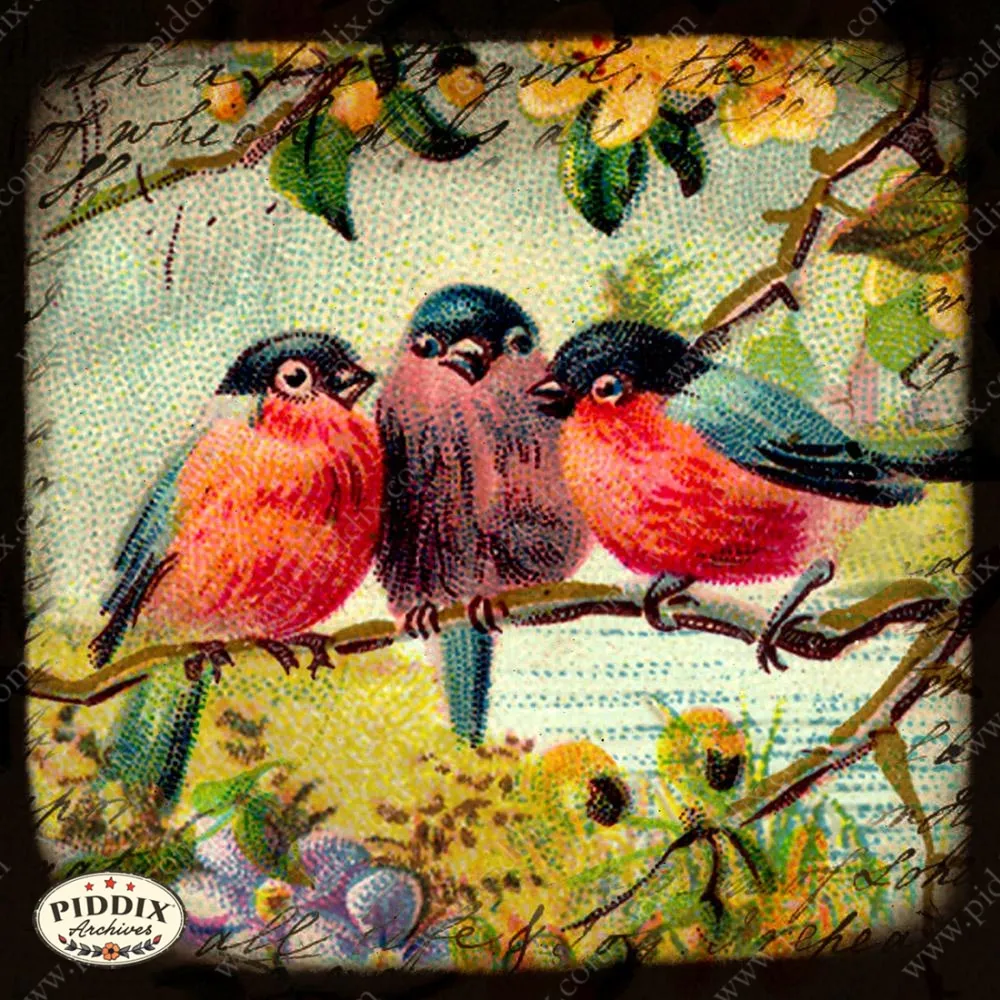 PDXC5111a, b & c -- Flora & Fauna