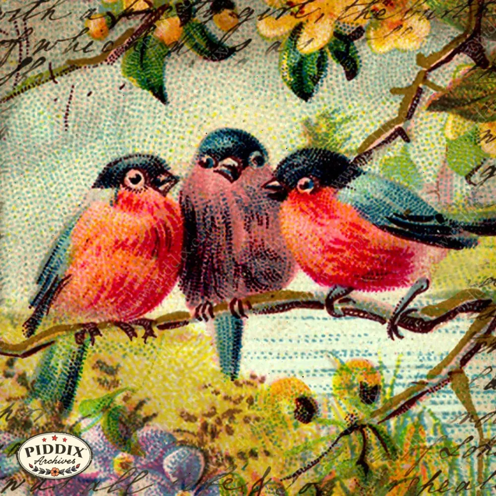 PDXC5111a, b & c -- Flora & Fauna