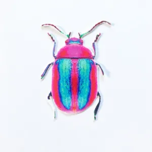 Pink and Blue Beetle Appliqué