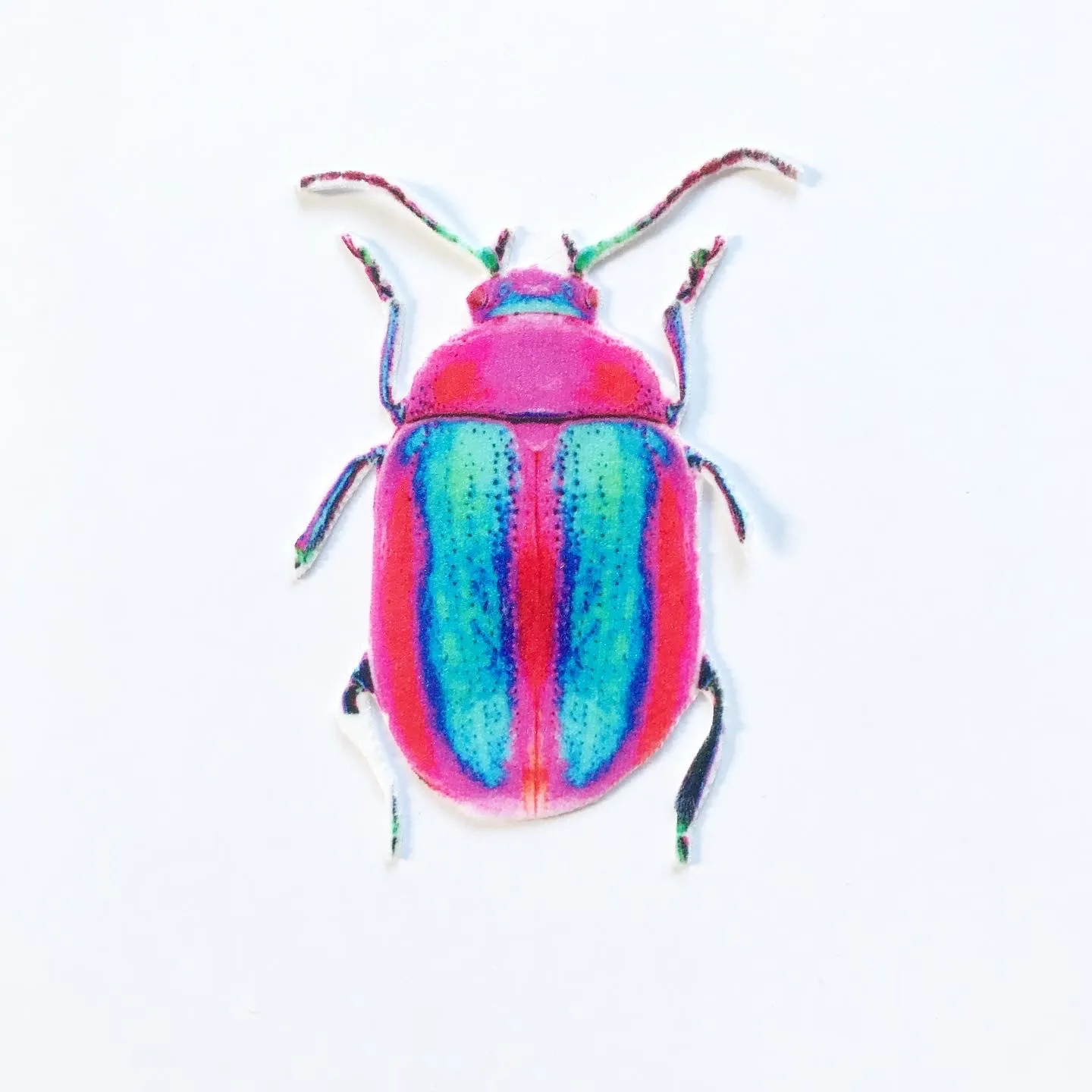 Pink and Blue Beetle Appliqué