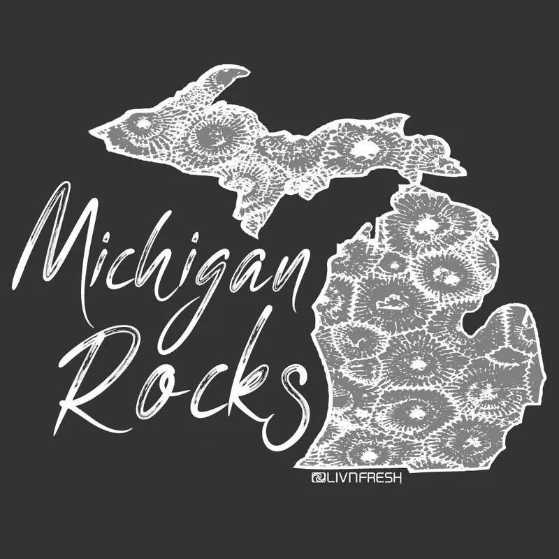 "Michigan Rocks Petoskey Stone" Relaxed Fit Stonewashed Long Sleeve Unisex T-Shirt