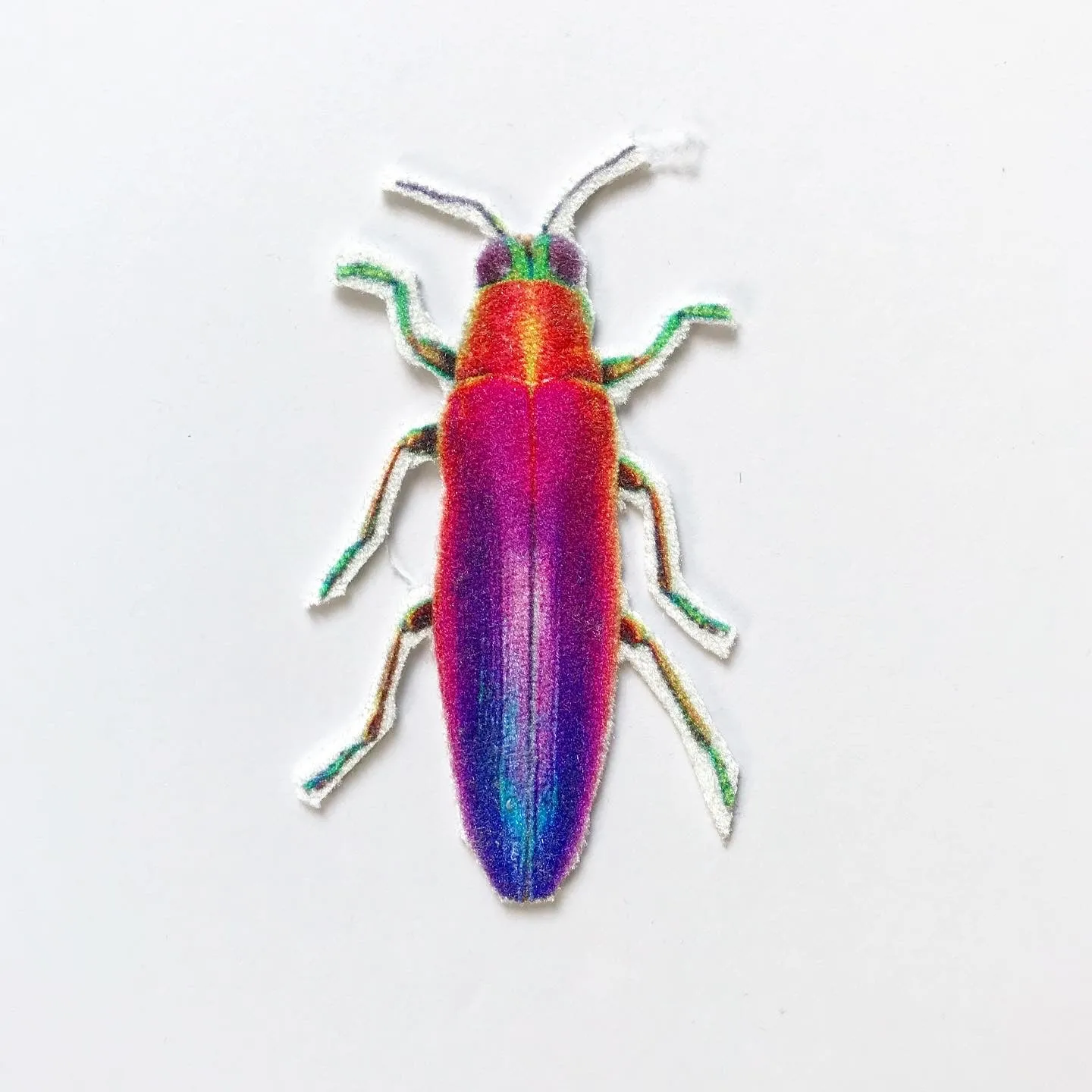 Rainbow Beetle Appliqué