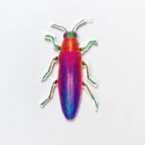 Rainbow Beetle Appliqué