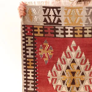 Turkish Rug Rust and Earth Tone Accents, RUG072