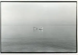 Untitled, Berkeley [distant boat in water]