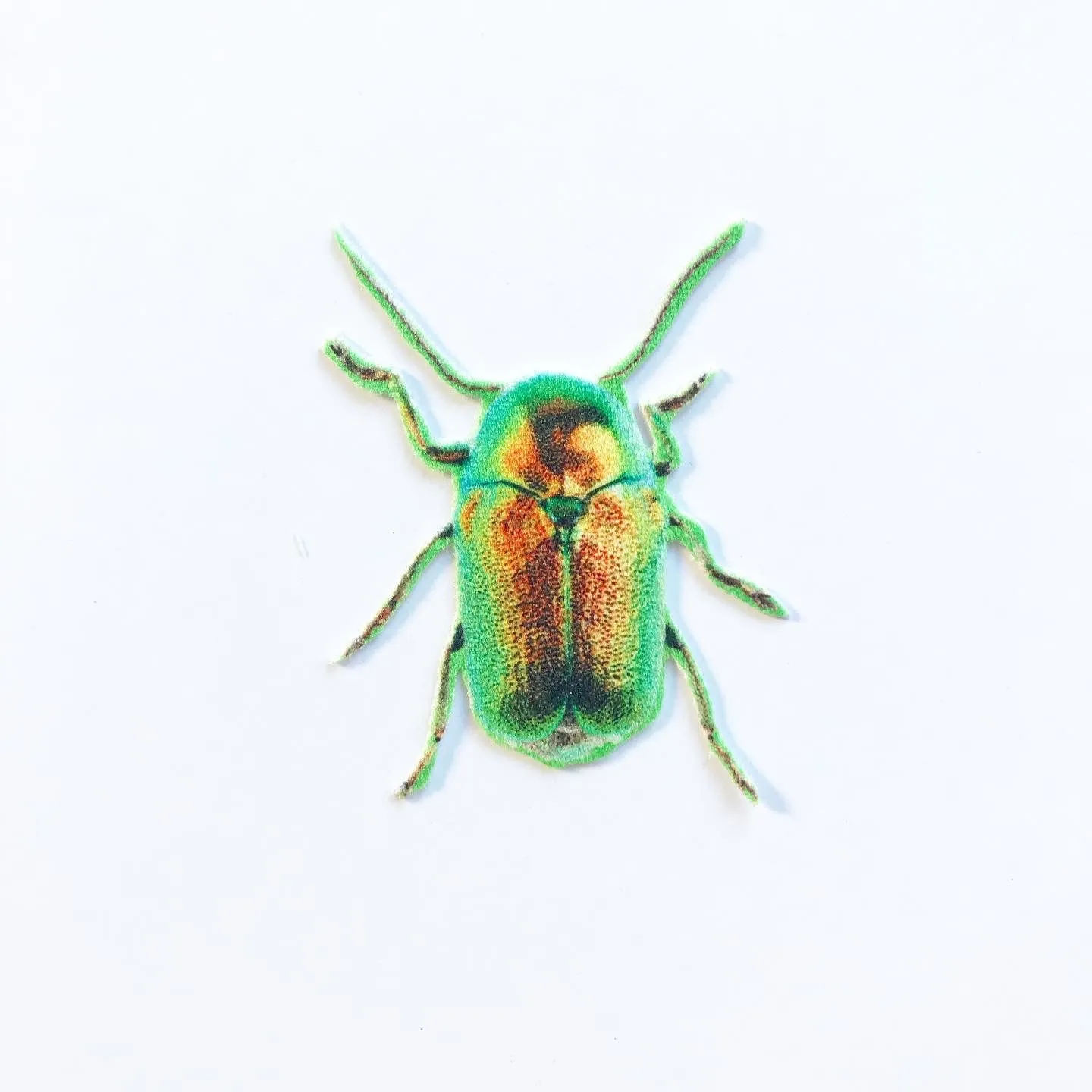 Yellow and Green Beetle Appliqué