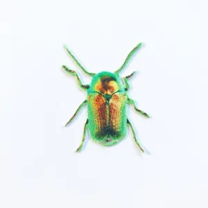 Yellow and Green Beetle Appliqué